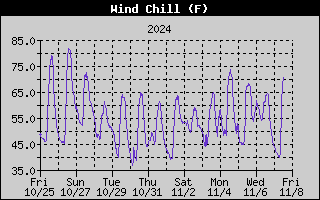 Wind Chill History